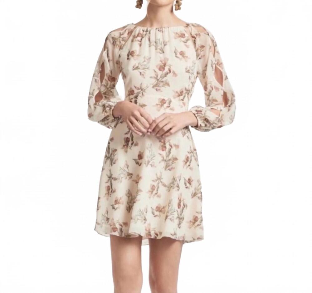NEW SACHIN & BABI bevvy floral chiffon mini dress in cream